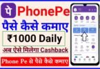 Phonpe New Earning Proof